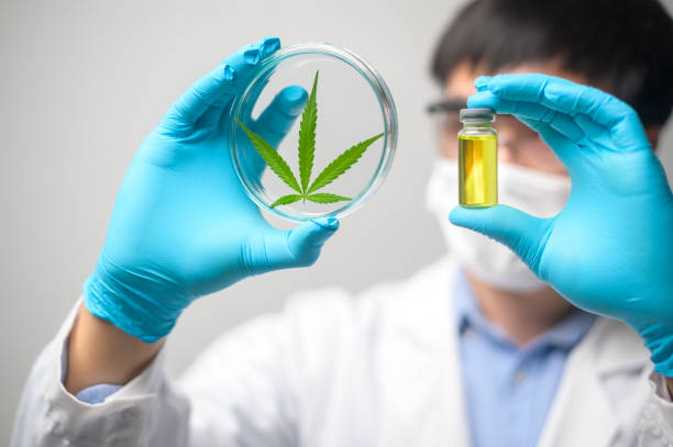 Medical cannabis products that are ruling the world